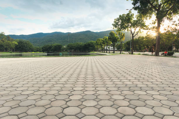 Best Residential Paver Driveway  in Erwin, TN