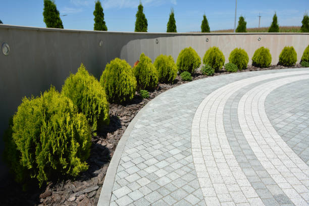 Best Concrete Paver Driveway  in Erwin, TN